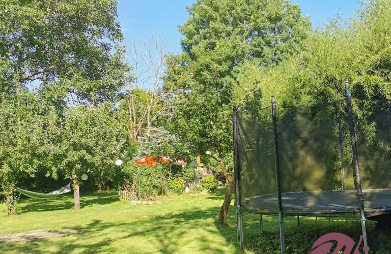 Blick in den Gartenbereich Bambus