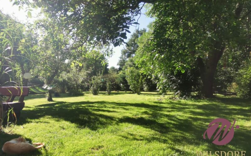 Baumbestand im Garten